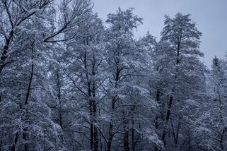 Přijdou mrazivé teploty, sníh a vítr - Novinky